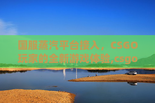 国服蒸汽平台接入，CSGO玩家的全新游戏体验,csgo国服蒸汽平台接入不了