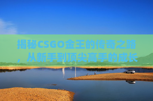 揭秘CSGO金王的传奇之路，从新手到顶尖高手的成长历程,csgoak王
