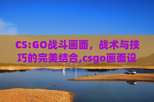 CS:GO战斗画面，战术与技巧的完美结合,csgo画面设置最佳方案2020年