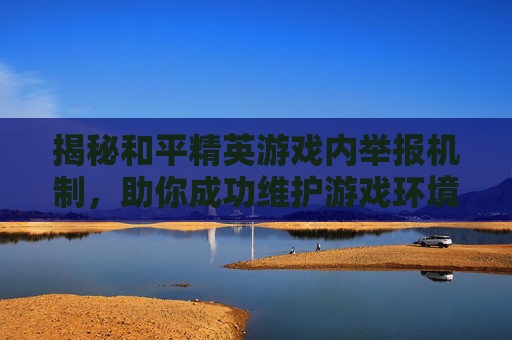 揭秘和平精英游戏内举报机制，助你成功维护游戏环境,和平精英怎么举报才能成功