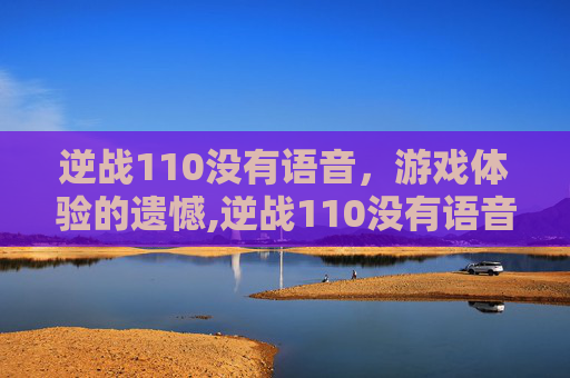 逆战110没有语音，游戏体验的遗憾,逆战110没有语音怎么回事