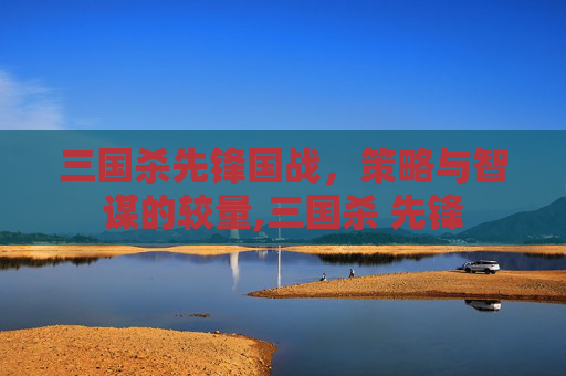 三国杀先锋国战，策略与智谋的较量,三国杀 先锋