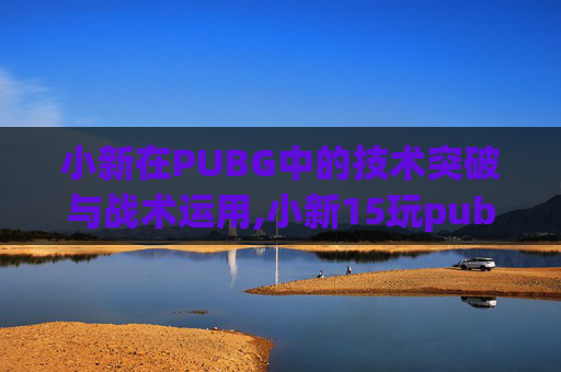 小新在PUBG中的技术突破与战术运用,小新15玩pubg