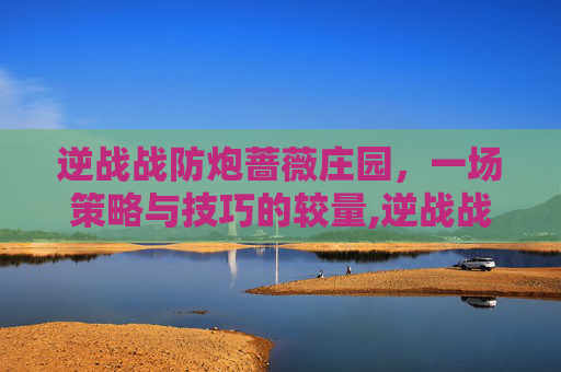 逆战战防炮蔷薇庄园，一场策略与技巧的较量,逆战战防炮蔷薇庄园怎么打