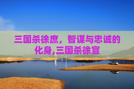 三国杀徐庶，智谋与忠诚的化身,三国杀徐宣