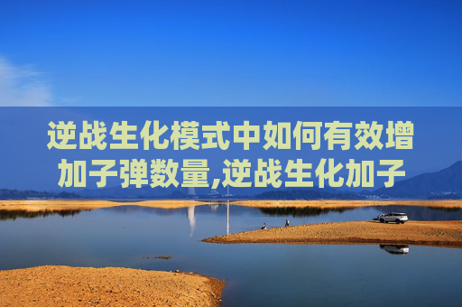 逆战生化模式中如何有效增加子弹数量,逆战生化加子弹多少钱