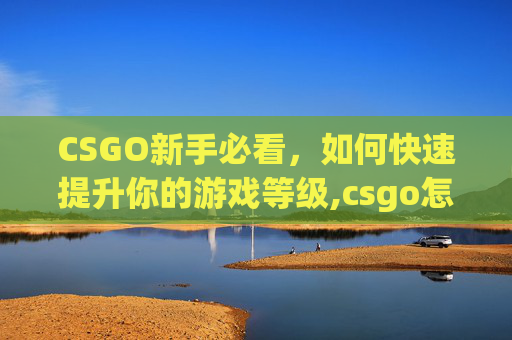 CSGO新手必看，如何快速提升你的游戏等级,csgo怎么快速提升等级