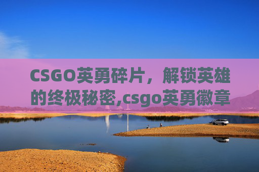 CSGO英勇碎片，解锁英雄的终极秘密,csgo英勇徽章怎么得