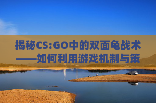 揭秘CS:GO中的双面龟战术——如何利用游戏机制与策略取胜,csgo双面冰火