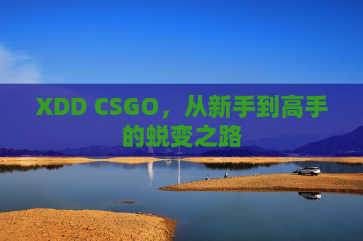 XDD CSGO，从新手到高手的蜕变之路