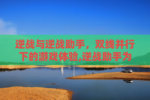 逆战与逆战助手，双线并行下的游戏体验,逆战助手为什么不能聊天了