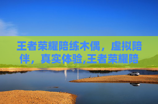 王者荣耀陪练木偶，虚拟陪伴，真实体验,王者荣耀陪练木偶怎么玩