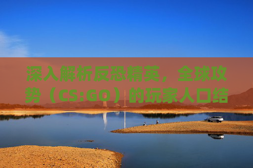 深入解析反恐精英，全球攻势（CS:GO）的玩家人口结构,csgo国内人数