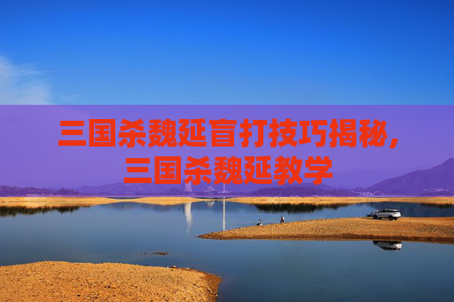 三国杀魏延盲打技巧揭秘,三国杀魏延教学