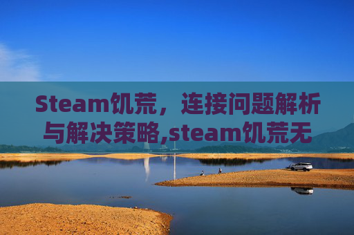 Steam饥荒，连接问题解析与解决策略,steam饥荒无法连接