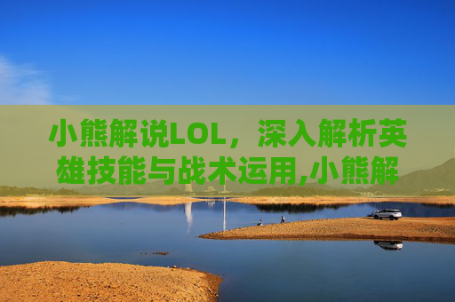 小熊解说LOL，深入解析英雄技能与战术运用,小熊解说视频全集