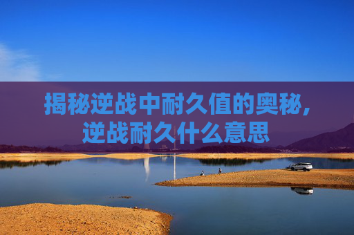 揭秘逆战中耐久值的奥秘,逆战耐久什么意思