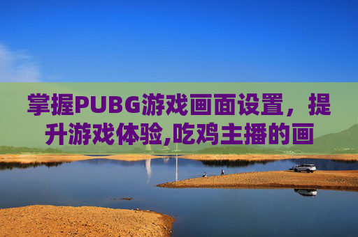 掌握PUBG游戏画面设置，提升游戏体验,吃鸡主播的画面设置