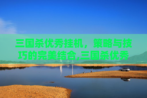 三国杀优秀挂机，策略与技巧的完美结合,三国杀优秀挂机多少钱
