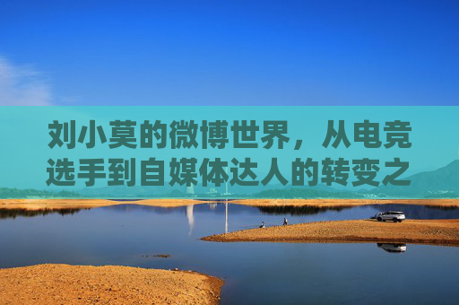 刘小莫的微博世界，从电竞选手到自媒体达人的转变之旅,cf刘小莫个人资料