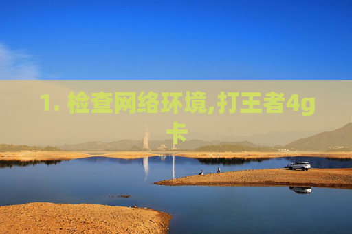 1. 检查网络环境,打王者4g卡