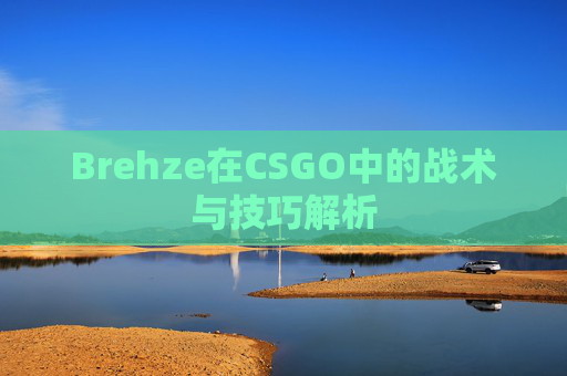 Brehze在CSGO中的战术与技巧解析