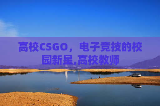 高校CSGO，电子竞技的校园新星,高校教师