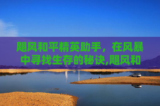 飓风和平精英助手，在风暴中寻找生存的秘诀,飓风和平精英助手下载