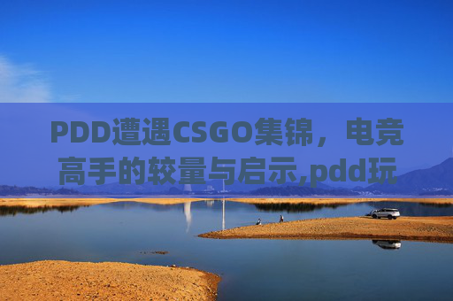 PDD遭遇CSGO集锦，电竞高手的较量与启示,pdd玩csgo花了多少钱