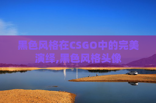 黑色风格在CSGO中的完美演绎,黑色风格头像