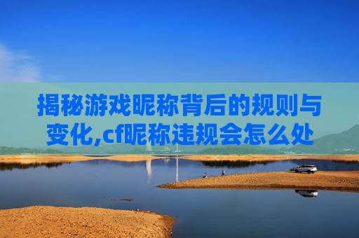 揭秘游戏昵称背后的规则与变化,cf昵称违规会怎么处罚