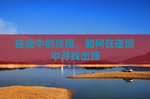 逆战中的选择，如何在逆境中寻找出路