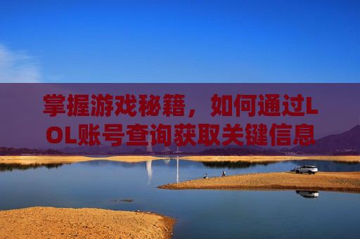 掌握游戏秘籍，如何通过LOL账号查询获取关键信息,lol账号查询