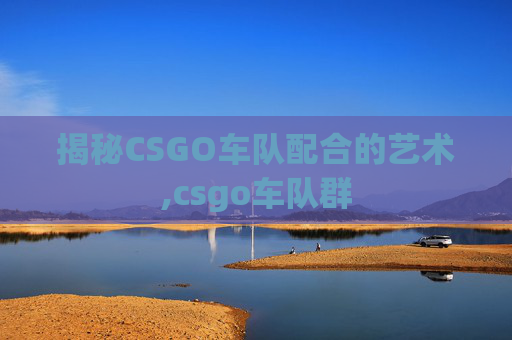 揭秘CSGO车队配合的艺术,csgo车队群
