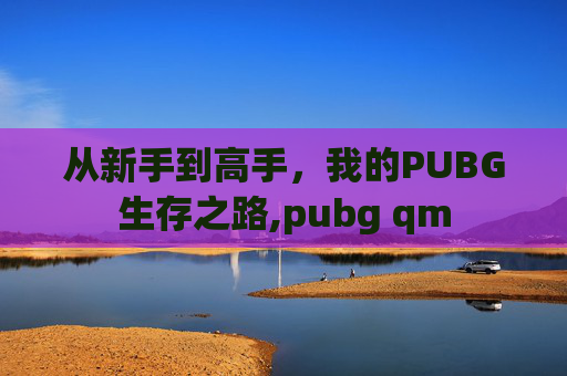 从新手到高手，我的PUBG生存之路,pubg qm