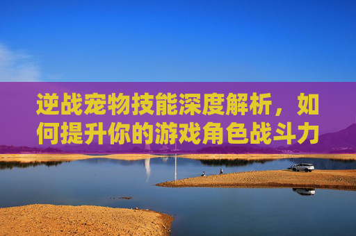 逆战宠物技能深度解析，如何提升你的游戏角色战斗力？,逆战宠物技能怎么释放