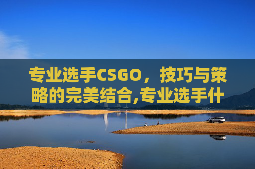 专业选手CSGO，技巧与策略的完美结合,专业选手什么意思