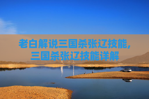 老白解说三国杀张辽技能,三国杀张辽技能详解