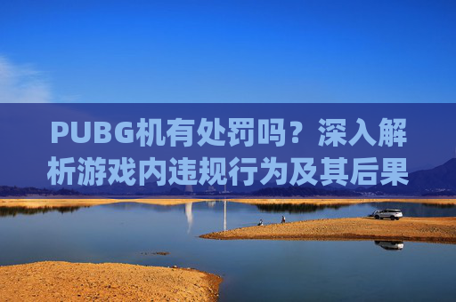 PUBG机有处罚吗？深入解析游戏内违规行为及其后果,pubg处罚规定