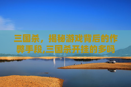 三国杀，揭秘游戏背后的作弊手段,三国杀开挂的多吗