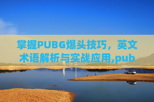 掌握PUBG爆头技巧，英文术语解析与实战应用,pubg爆头图标