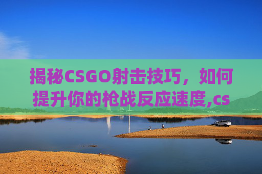 揭秘CSGO射击技巧，如何提升你的枪战反应速度,csgo枪打不准
