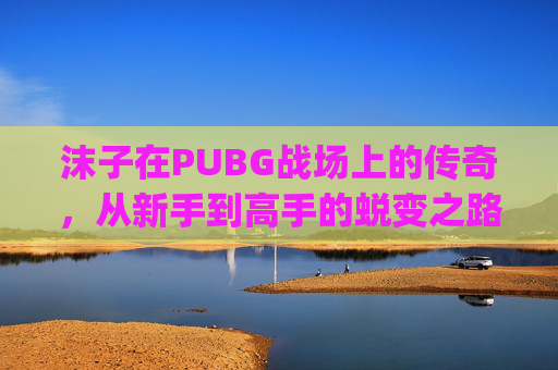 沫子在PUBG战场上的传奇，从新手到高手的蜕变之路,pubgm账号