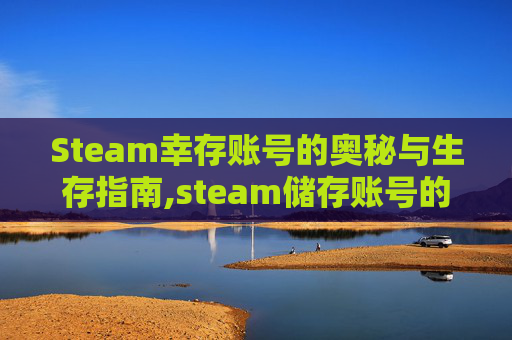 Steam幸存账号的奥秘与生存指南,steam储存账号的文件