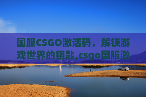 国服CSGO激活码，解锁游戏世界的钥匙,csgo国服激活码是什么