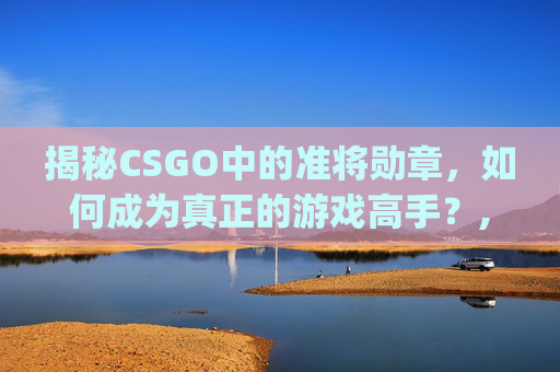 揭秘CSGO中的准将勋章，如何成为真正的游戏高手？,cago准将勋章