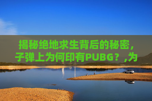 揭秘绝地求生背后的秘密，子弹上为何印有PUBG？,为什么子弹会有弹壳