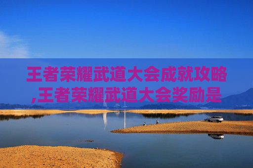 王者荣耀武道大会成就攻略,王者荣耀武道大会奖励是什么 怎么拿