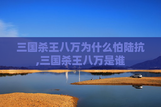 三国杀王八万为什么怕陆抗,三国杀王八万是谁