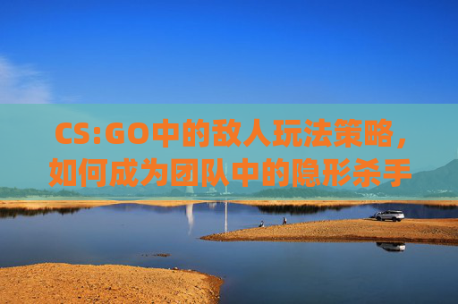 CS:GO中的敌人玩法策略，如何成为团队中的隐形杀手,csgo敌方简直一群菜鸡